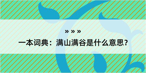 一本词典：满山满谷是什么意思？