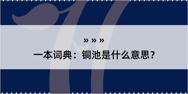 一本词典：铜池是什么意思？