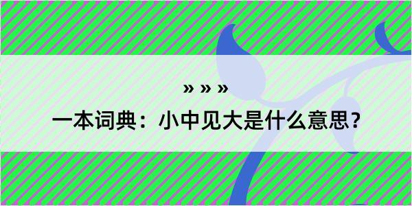 一本词典：小中见大是什么意思？