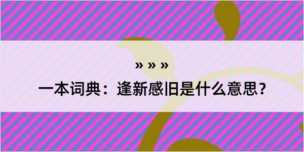 一本词典：逢新感旧是什么意思？