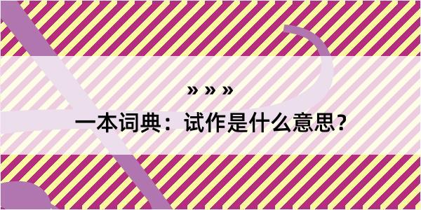 一本词典：试作是什么意思？