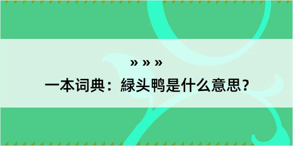 一本词典：緑头鸭是什么意思？