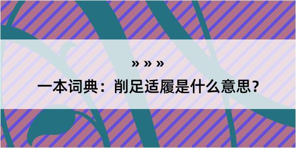 一本词典：削足适履是什么意思？