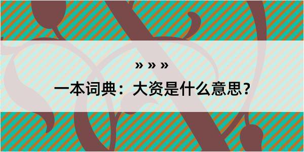 一本词典：大资是什么意思？