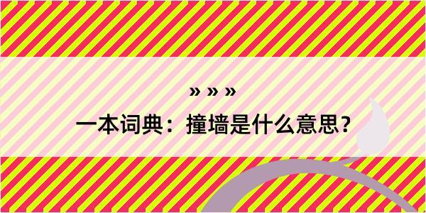 一本词典：撞墙是什么意思？