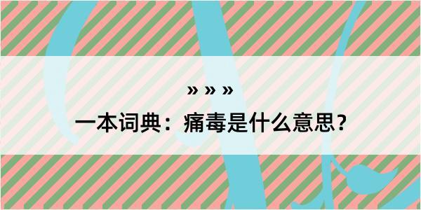 一本词典：痛毒是什么意思？