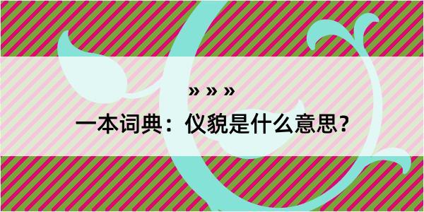 一本词典：仪貌是什么意思？