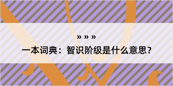 一本词典：智识阶级是什么意思？