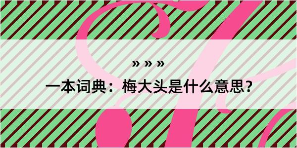 一本词典：梅大头是什么意思？