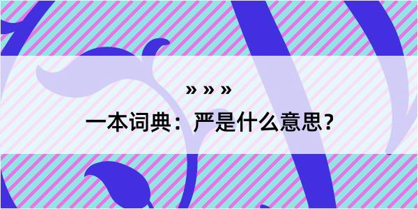 一本词典：严是什么意思？