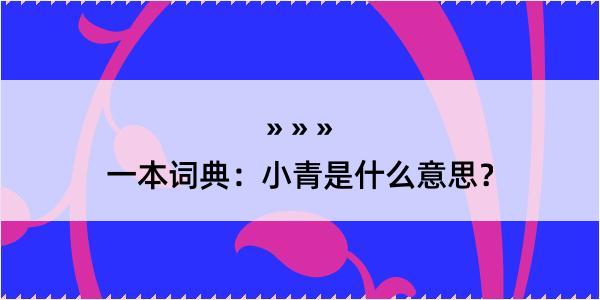 一本词典：小青是什么意思？