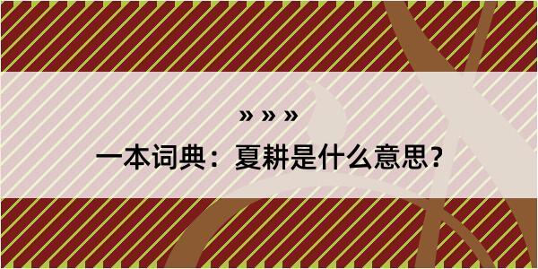 一本词典：夏耕是什么意思？