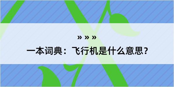 一本词典：飞行机是什么意思？