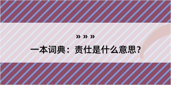 一本词典：责仕是什么意思？