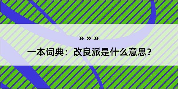 一本词典：改良派是什么意思？