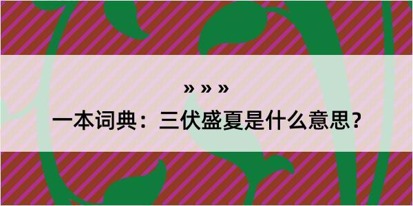 一本词典：三伏盛夏是什么意思？