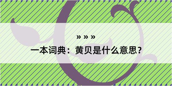 一本词典：黄贝是什么意思？