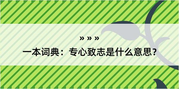 一本词典：专心致志是什么意思？