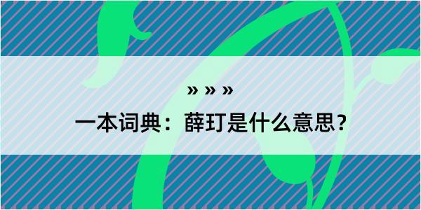 一本词典：薛玎是什么意思？