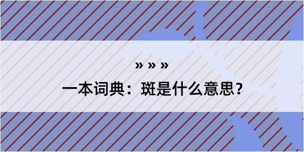 一本词典：斑是什么意思？