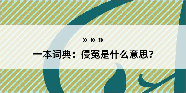 一本词典：侵冤是什么意思？