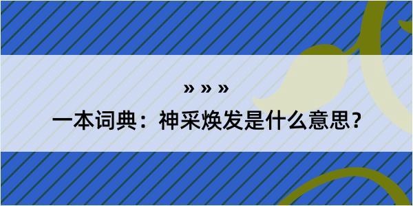 一本词典：神采焕发是什么意思？