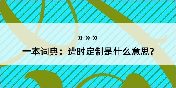 一本词典：遭时定制是什么意思？