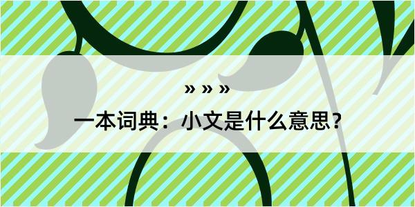 一本词典：小文是什么意思？