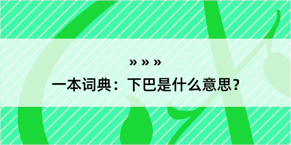 一本词典：下巴是什么意思？