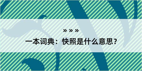 一本词典：快照是什么意思？