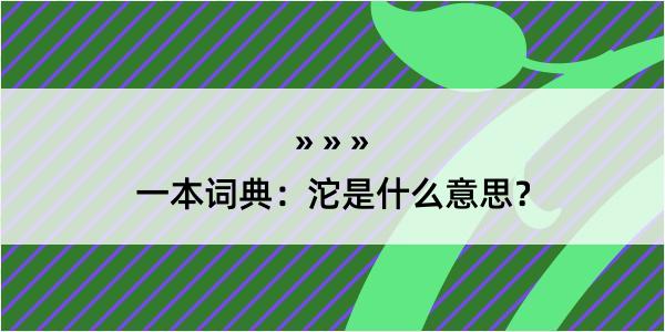 一本词典：沱是什么意思？