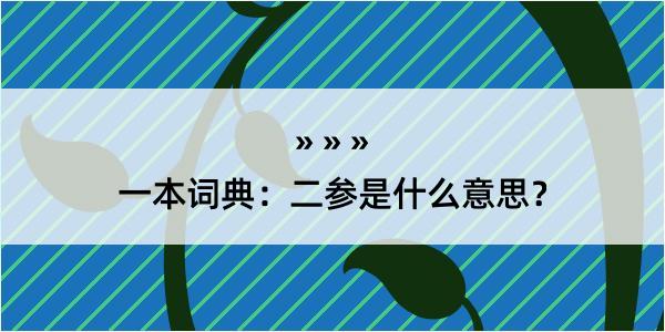 一本词典：二参是什么意思？