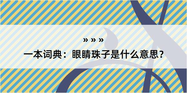 一本词典：眼睛珠子是什么意思？