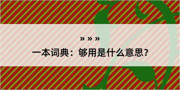 一本词典：够用是什么意思？