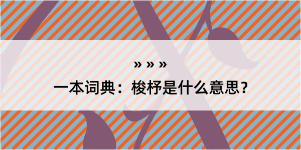 一本词典：梭杼是什么意思？