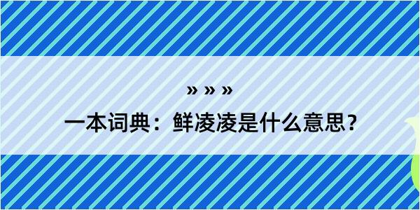 一本词典：鲜凌凌是什么意思？