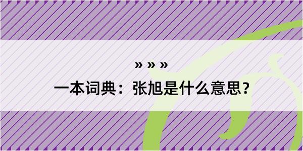 一本词典：张旭是什么意思？