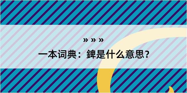 一本词典：錍是什么意思？