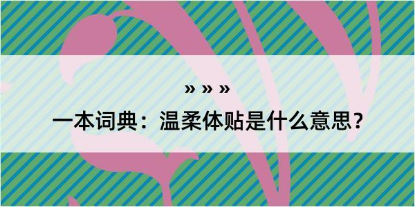 一本词典：温柔体贴是什么意思？