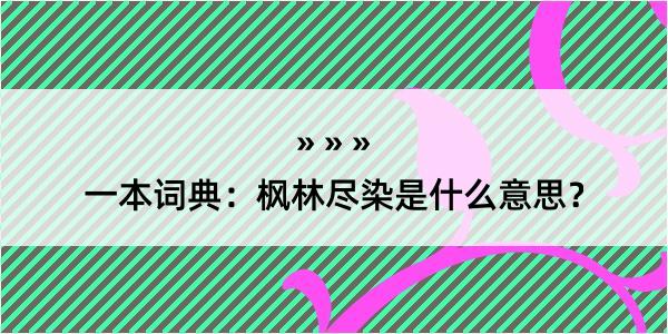 一本词典：枫林尽染是什么意思？