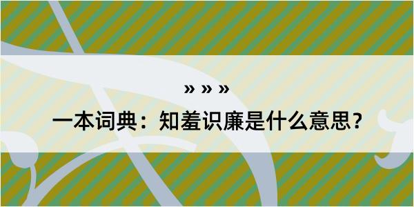 一本词典：知羞识廉是什么意思？