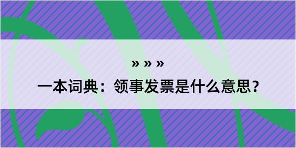 一本词典：领事发票是什么意思？