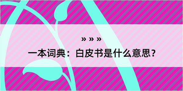 一本词典：白皮书是什么意思？