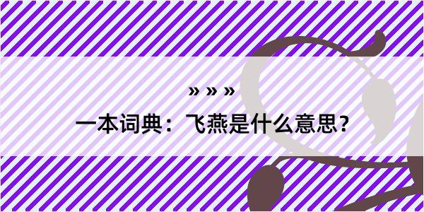 一本词典：飞燕是什么意思？