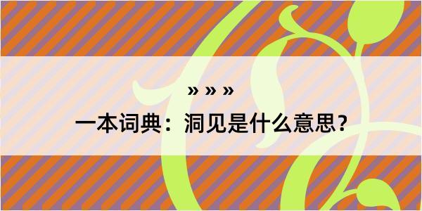 一本词典：洞见是什么意思？