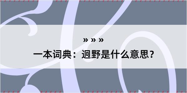 一本词典：迥野是什么意思？