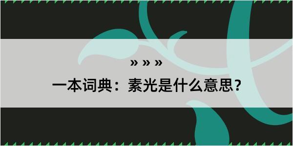 一本词典：素光是什么意思？