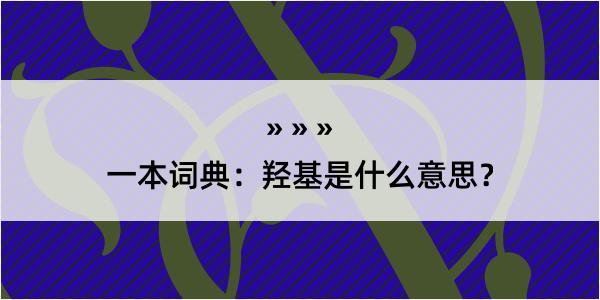 一本词典：羟基是什么意思？