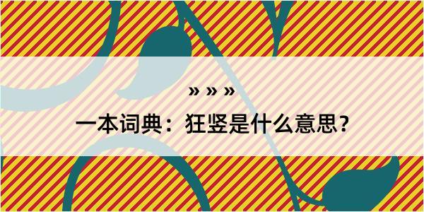 一本词典：狂竖是什么意思？