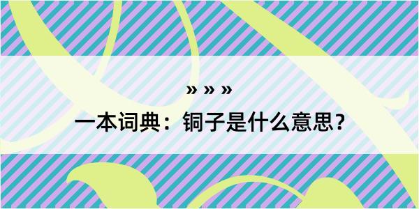 一本词典：铜子是什么意思？